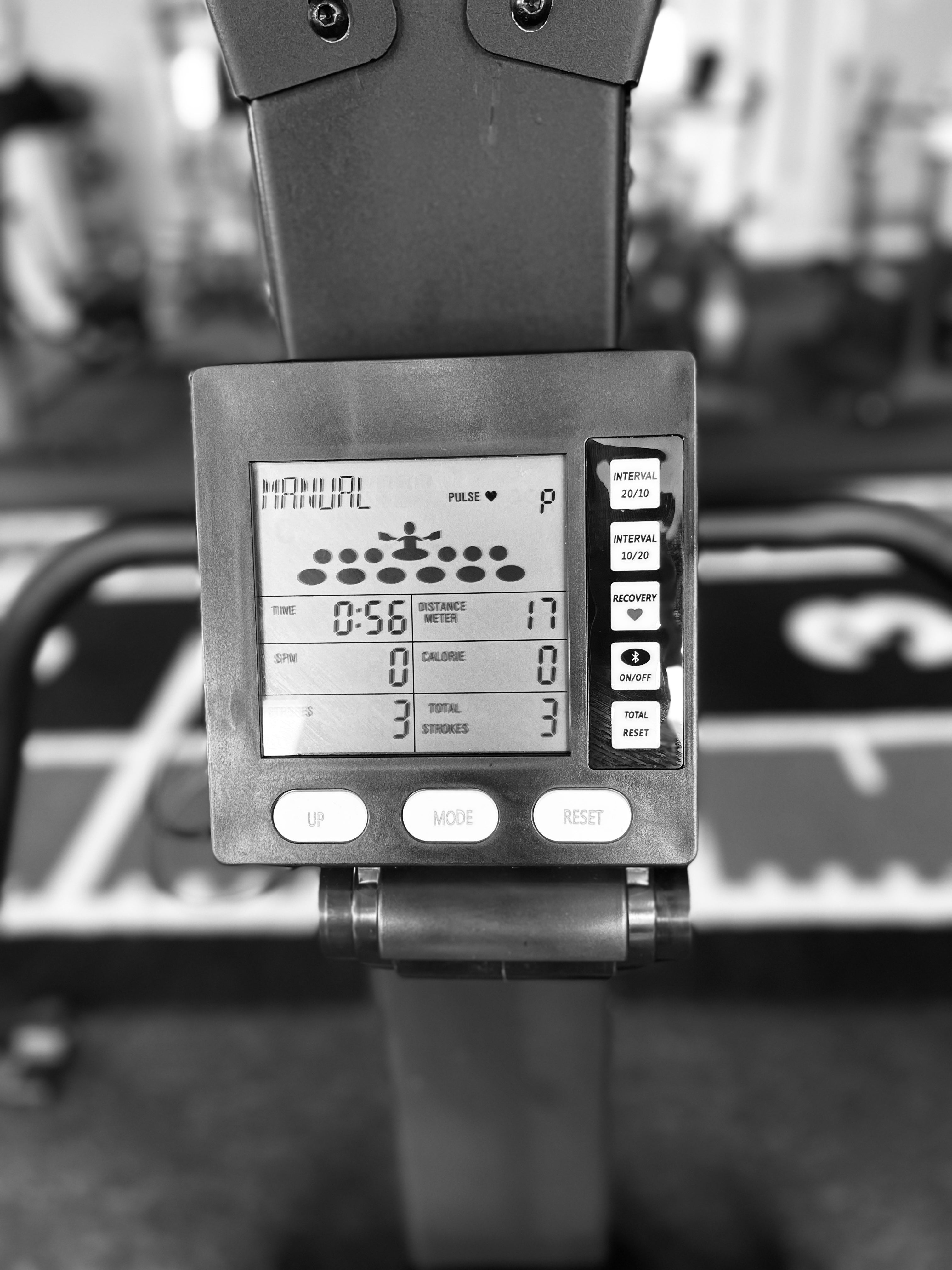 Ski Ranger ( Includes Platform)