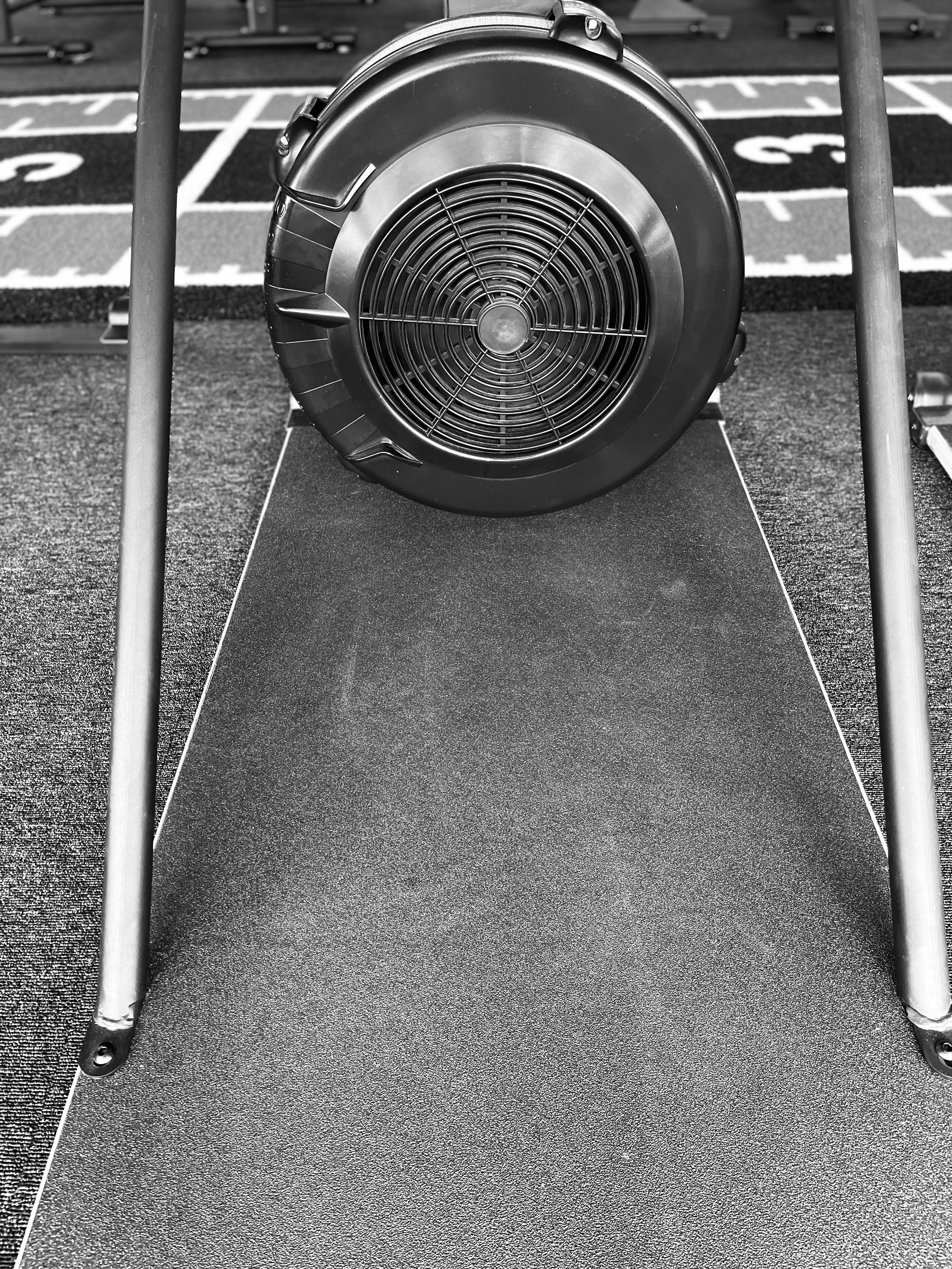 Ski Ranger ( Includes Platform)