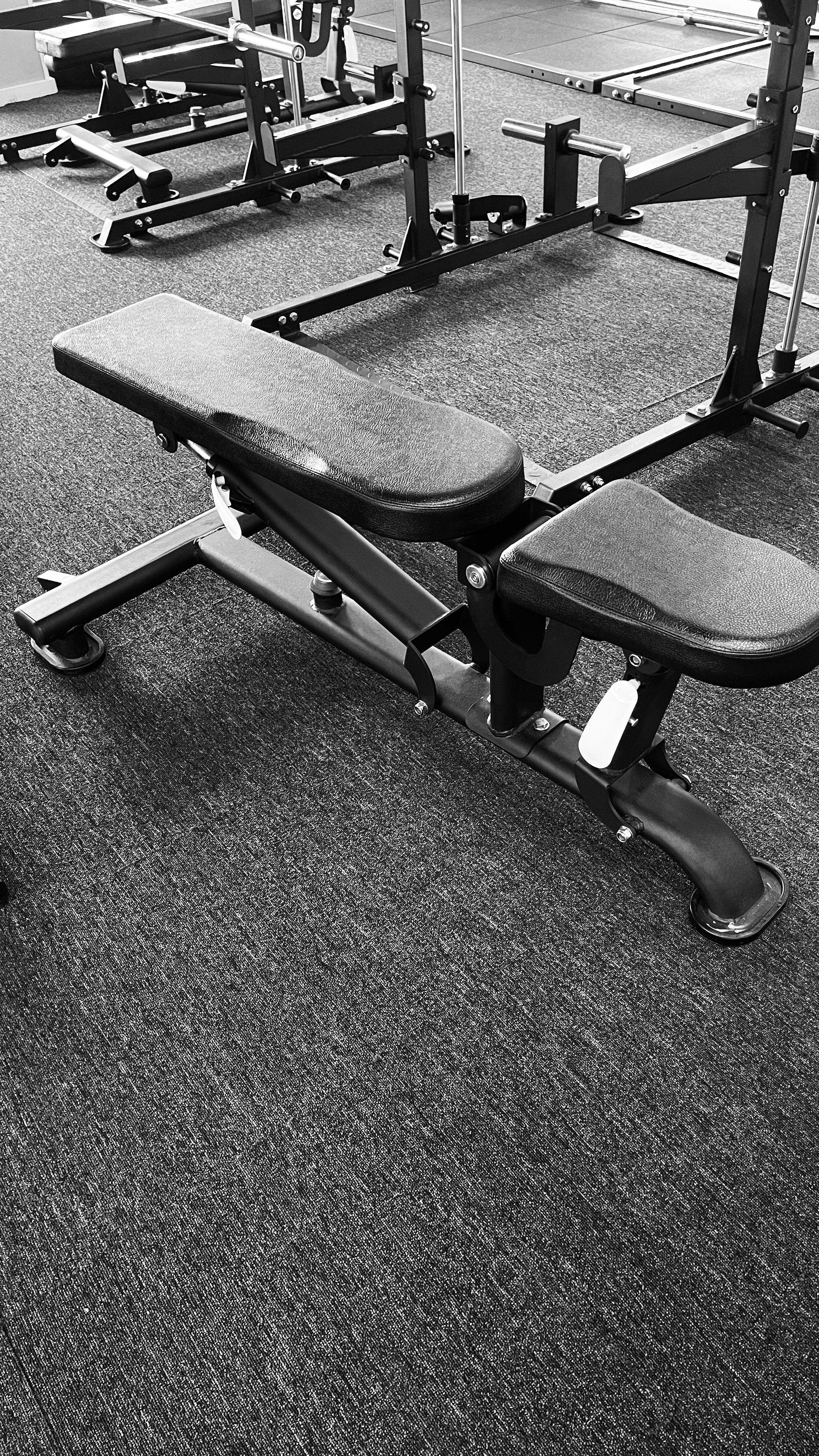 Adjustable Bench