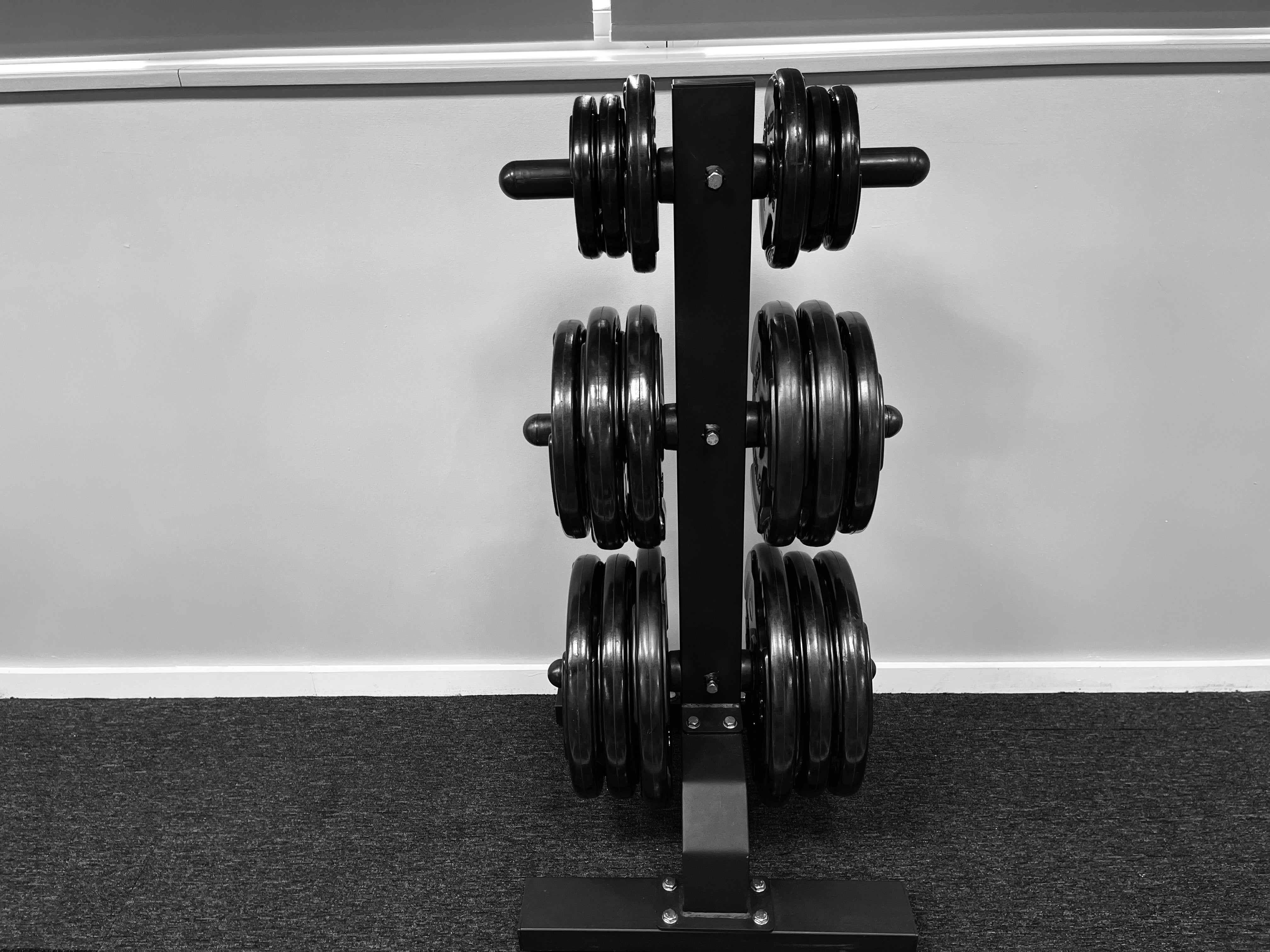 Tree Plate Storage Stand