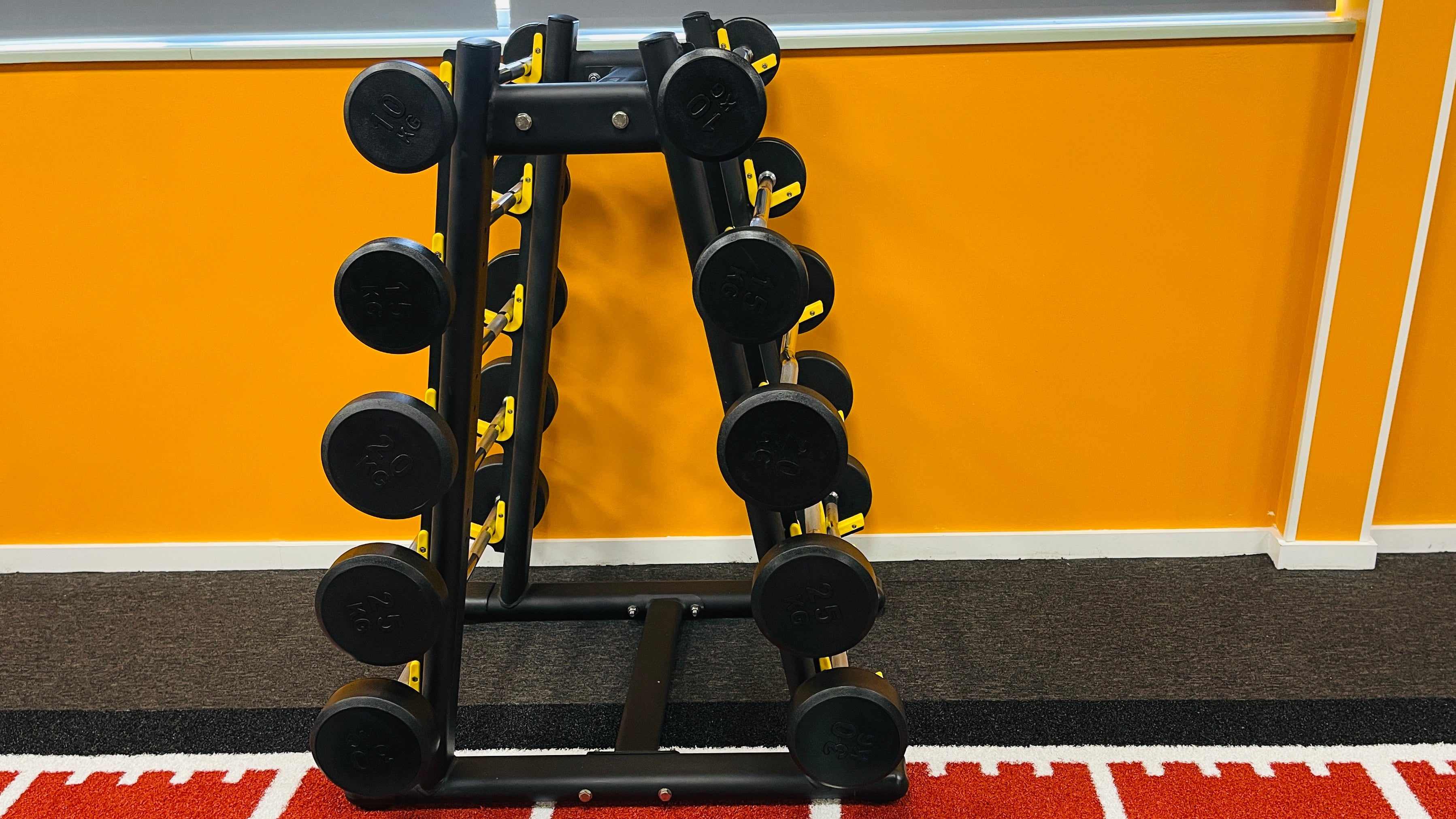 Full Set Of Barbells & Rack