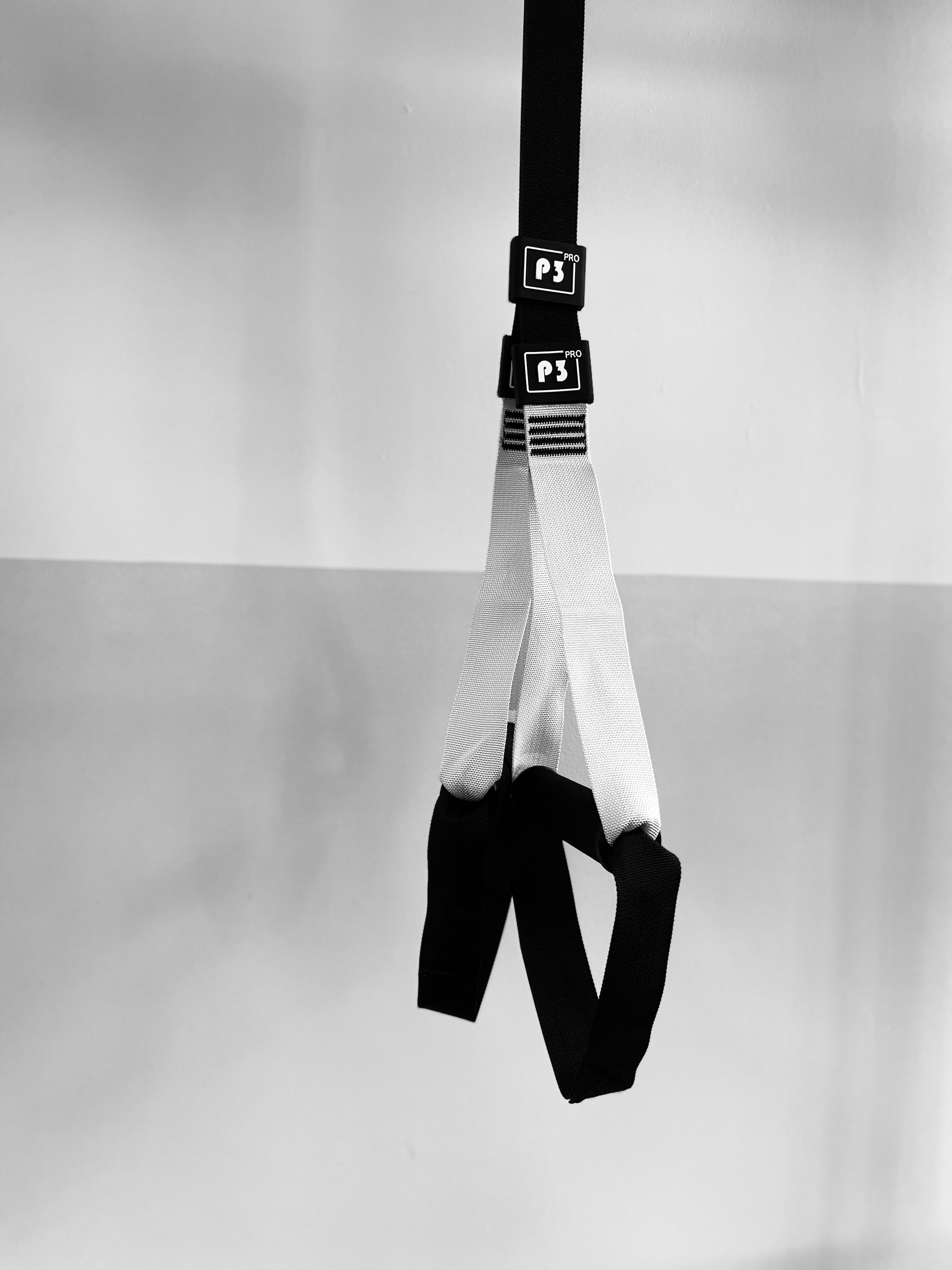 TRX Training Ropes
