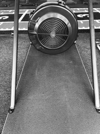 Ski Ranger ( Includes Platform)