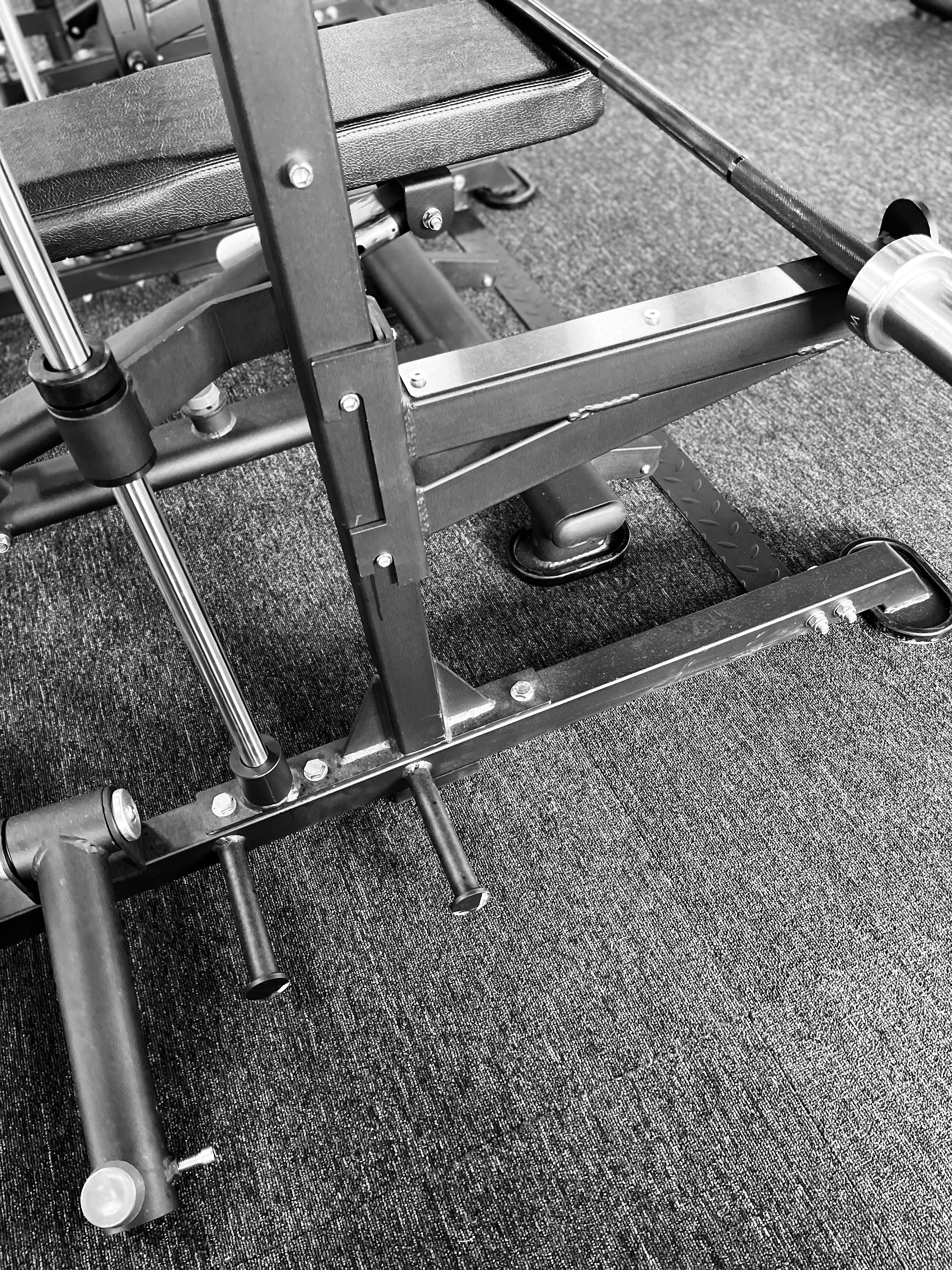 Dual Mode Smith Machine