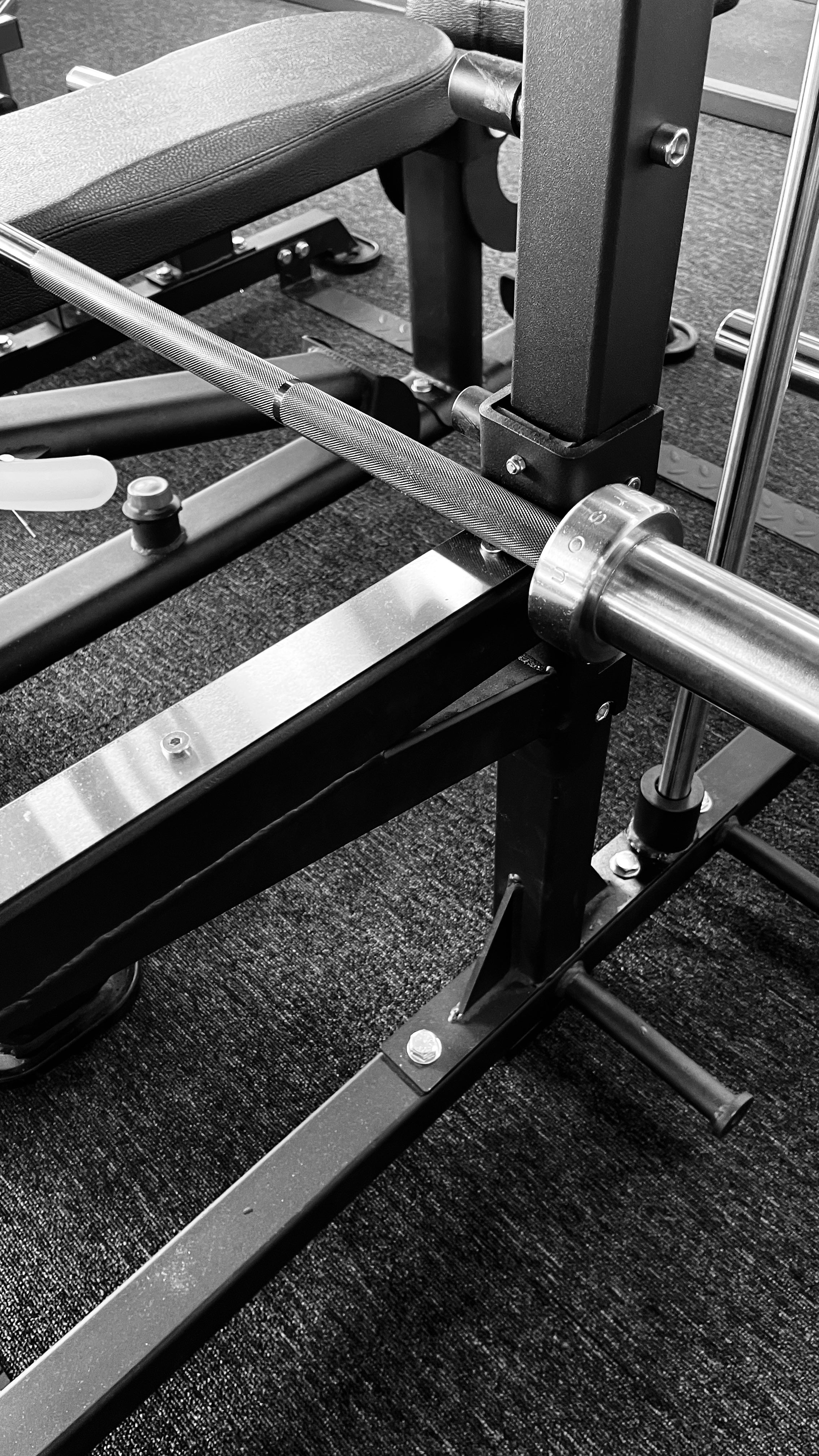 Dual Mode Smith Machine