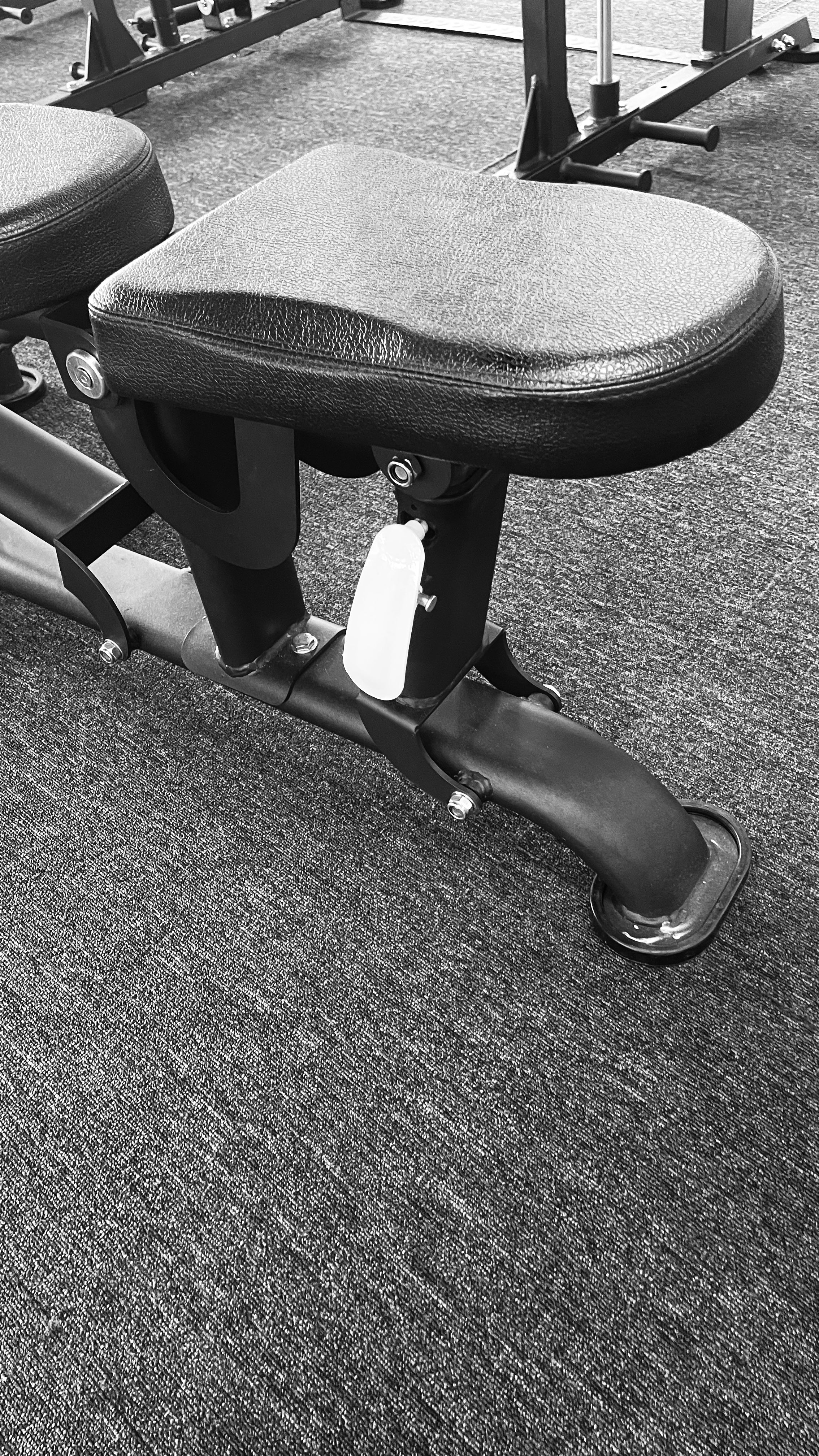 Adjustable Bench