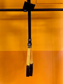 TRX Training Ropes